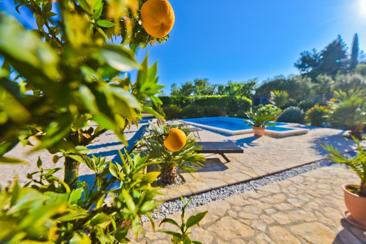 Holiday Home Taras Smilcic Экстерьер фото